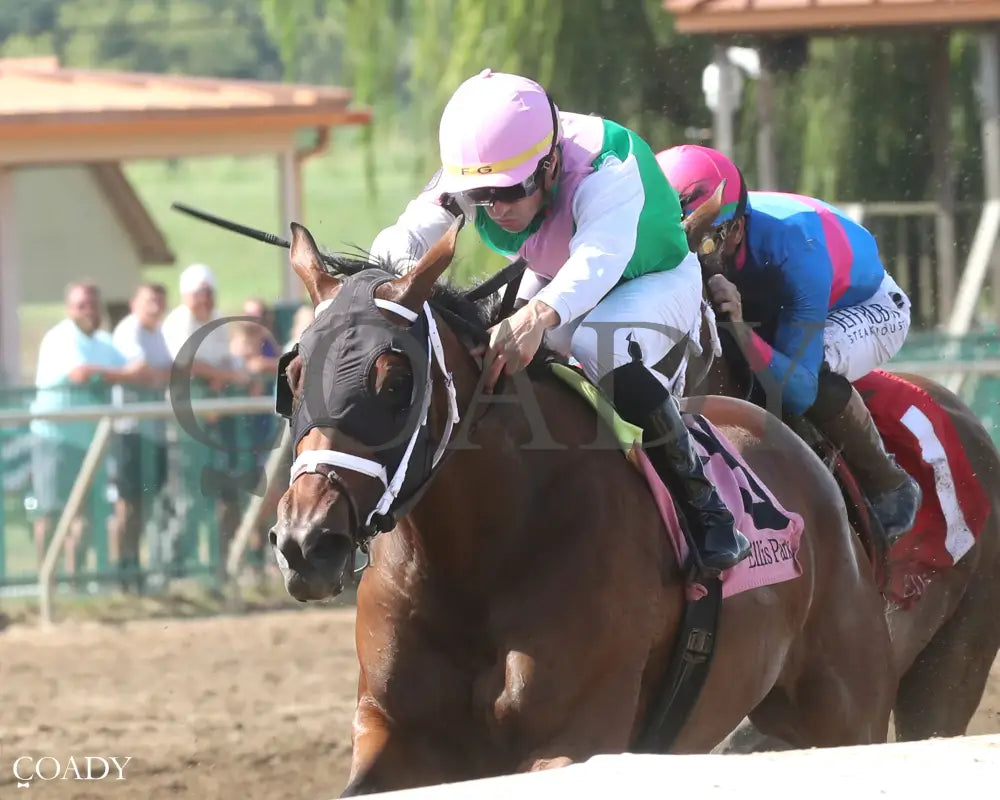 IMPEL - The Groupie Doll - 08-10-25 - R09 - ELP - Inside Finish 01 Ellis Park