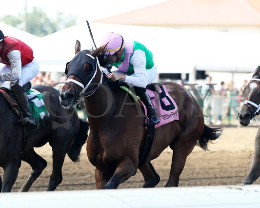 IMPEL - The Groupie Doll - 08-10-25 - R09 - ELP - Inside Finish 03 Ellis Park