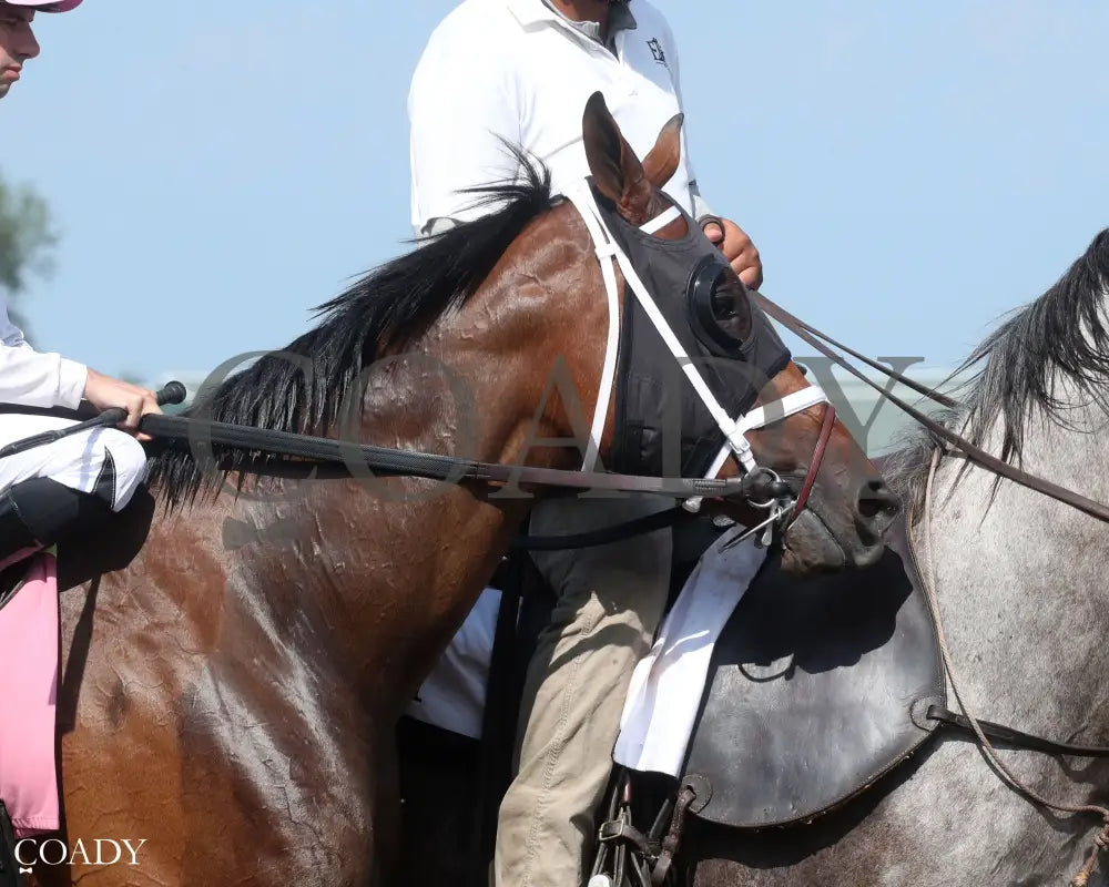 IMPEL - The Groupie Doll - 08-10-25 - R09 - ELP - Post Parade 02 Ellis Park