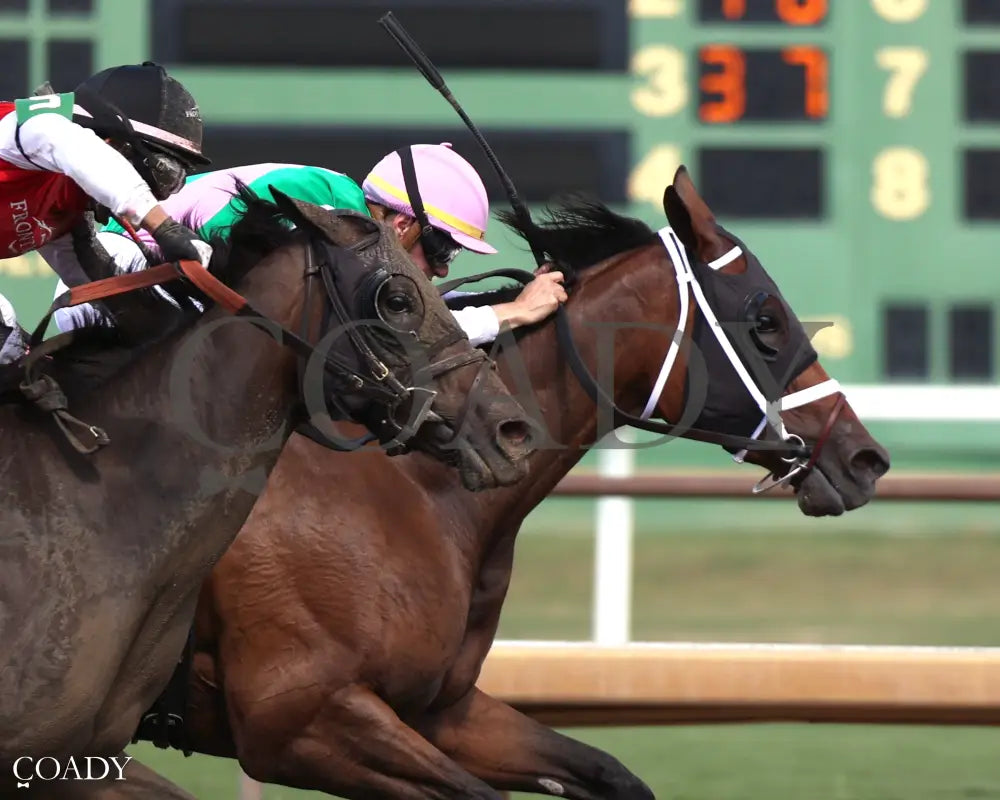 IMPEL - The Groupie Doll - 08-10-25 - R09 - ELP - Tight Finish 01 Ellis Park