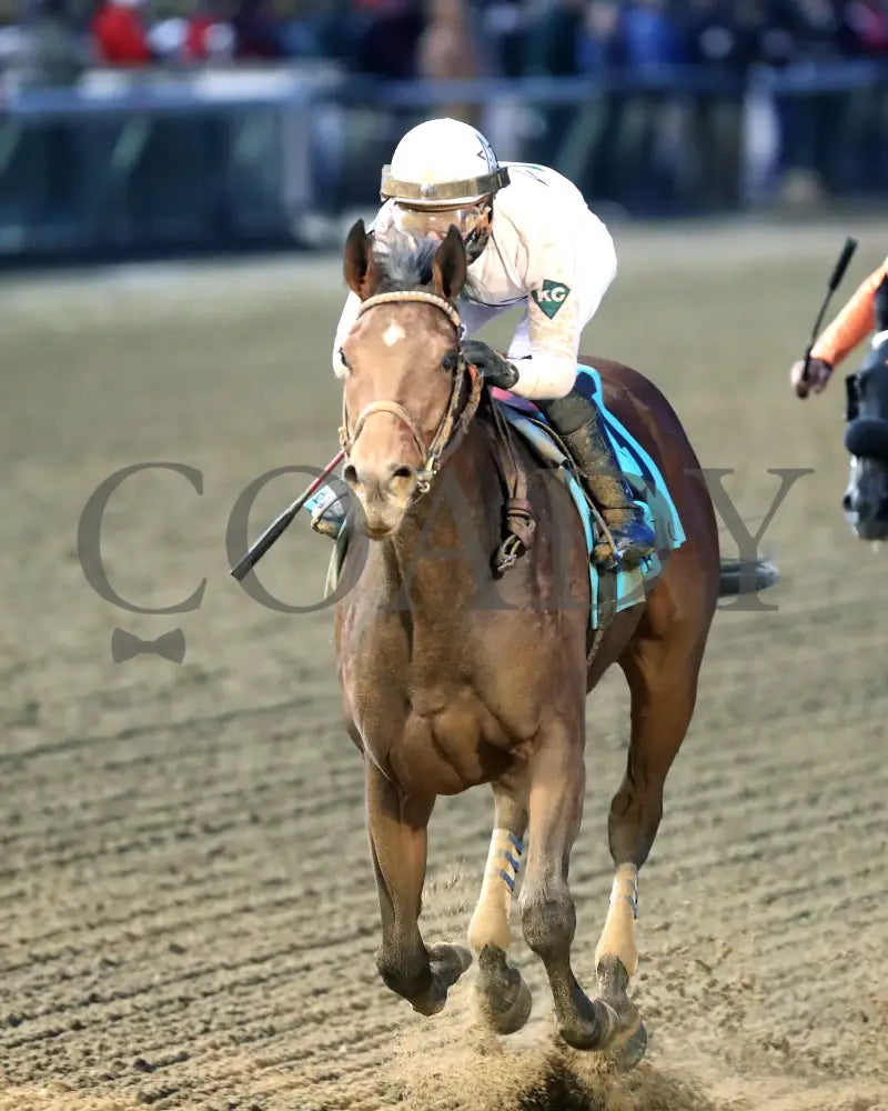 Impulse Buy - The Fern Creek 11-30-24 R10 Cd Inside Finish 01 Churchill Downs
