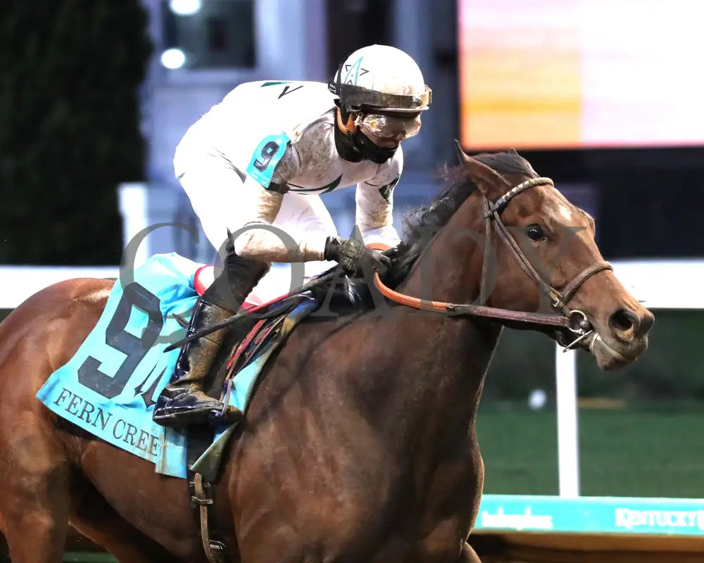 Impulse Buy - The Fern Creek 11-30-24 R10 Cd Tight Finish 02 Churchill Downs