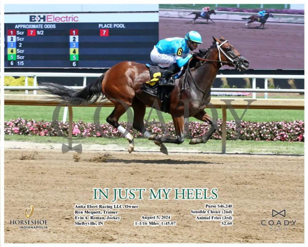 In Just My Heels - 1 00Th Career Win For Trainer Ron Moquett! 08-05-24 R03 Ind Action Indiana Grand