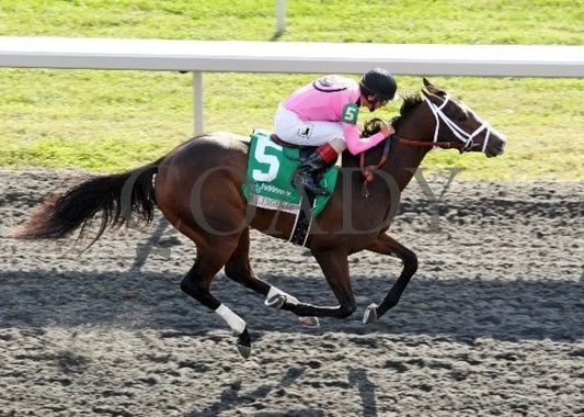 In Lingerie - Aerial -The 57Th Running Of The Judd Keeneland