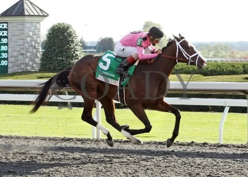 In Lingerie - Finish -The 57Th Running Of The Judd Keeneland