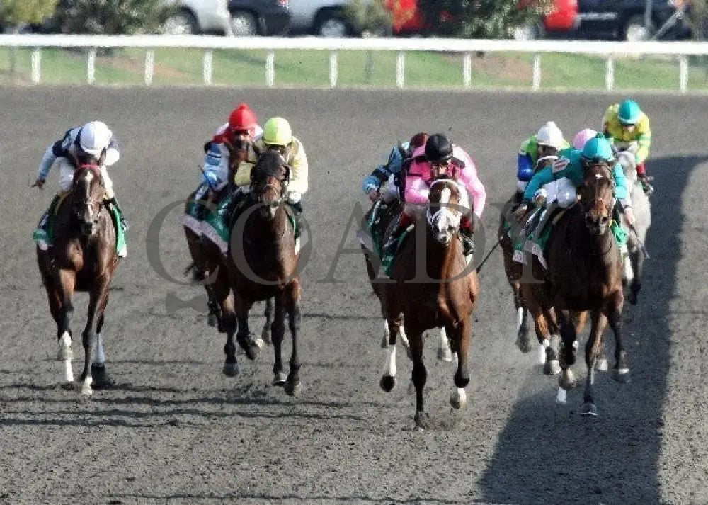 In Lingerie - Head On -The 57Th Running Of The Jud Keeneland