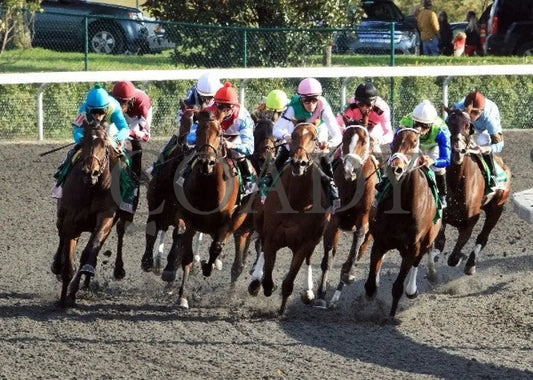 In Lingerie - Turn -The 57Th Running Of The Juddmo Keeneland