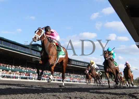 In Lingerie - Under Rail -The 57Th Running Of The Keeneland