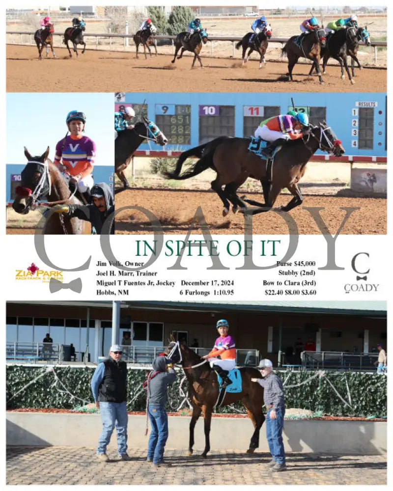 In Spite Of It - 12-17-24 R05 Zia Zia Park