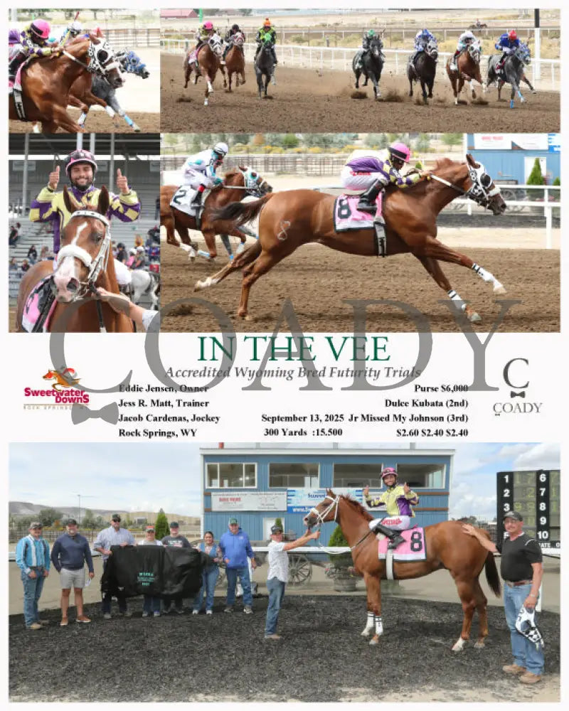 IN THE VEE - Accredited Wyoming Bred Futurity Trials - 09-13-25 - R05 - SWF - Coady Media - Kurtis Coady Photography