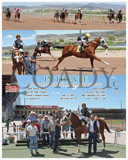 IN THE VEE - Ron Cook Accredited Wyoming Bred Futurity Trials - 07-11-25 - R01 - WYO Wyoming Downs