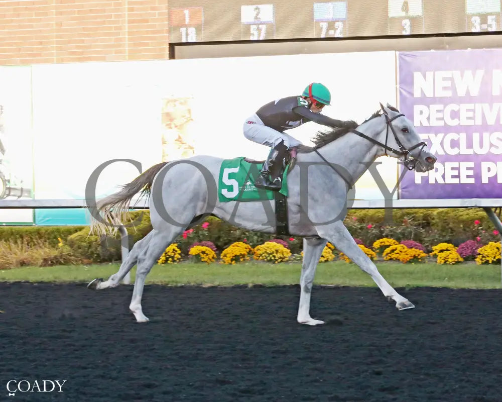 INCREDIBLE - 10-01-25 - R06 - Presque Isle Downs - Finish  02 - Coady Media - Kurtis Coady Photography