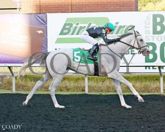 INCREDIBLE - 10-01-25 - R06 - Presque Isle Downs - Finish 01 Presque Isle Downs