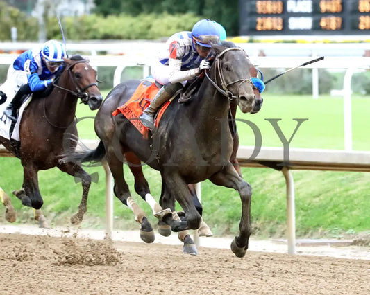 INCREDIBOLT - The Street Sense G3 - 10-26-25 - R10 - CD - Finish 02 Keeneland