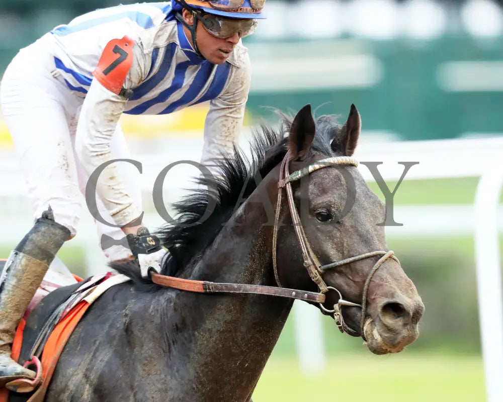 INCREDIBOLT - The Street Sense G3 - 10-26-25 - R10 - CD - Gallop Out 02 Keeneland