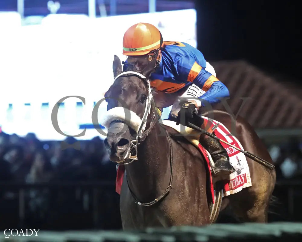 INDY BAY - Charles Town Oaks G2 - 08-22-25 - R09 - CT - Inside Finish 01 Hollywood Casino at Charles Town Races