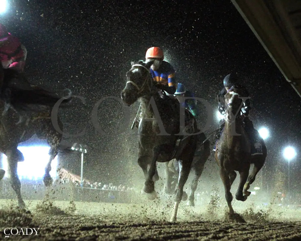 INDY BAY - Charles Town Oaks G2 - 08-22-25 - R09 - CT - Under Rail 02 - Coady Media - Kurtis Coady Photography