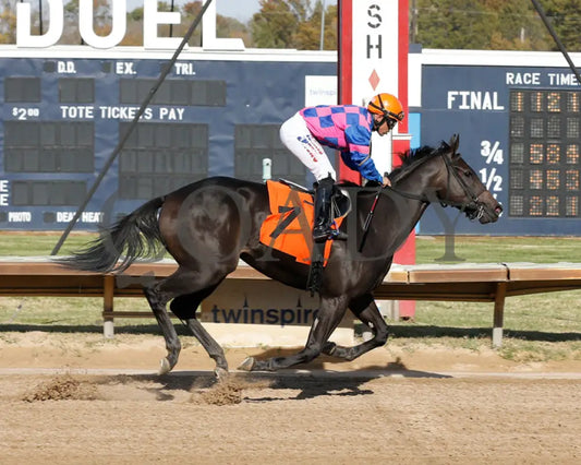 Indyville - 10-29-24 R05 Fan Finish 1 Fanduel Sportsbook Horse Racing