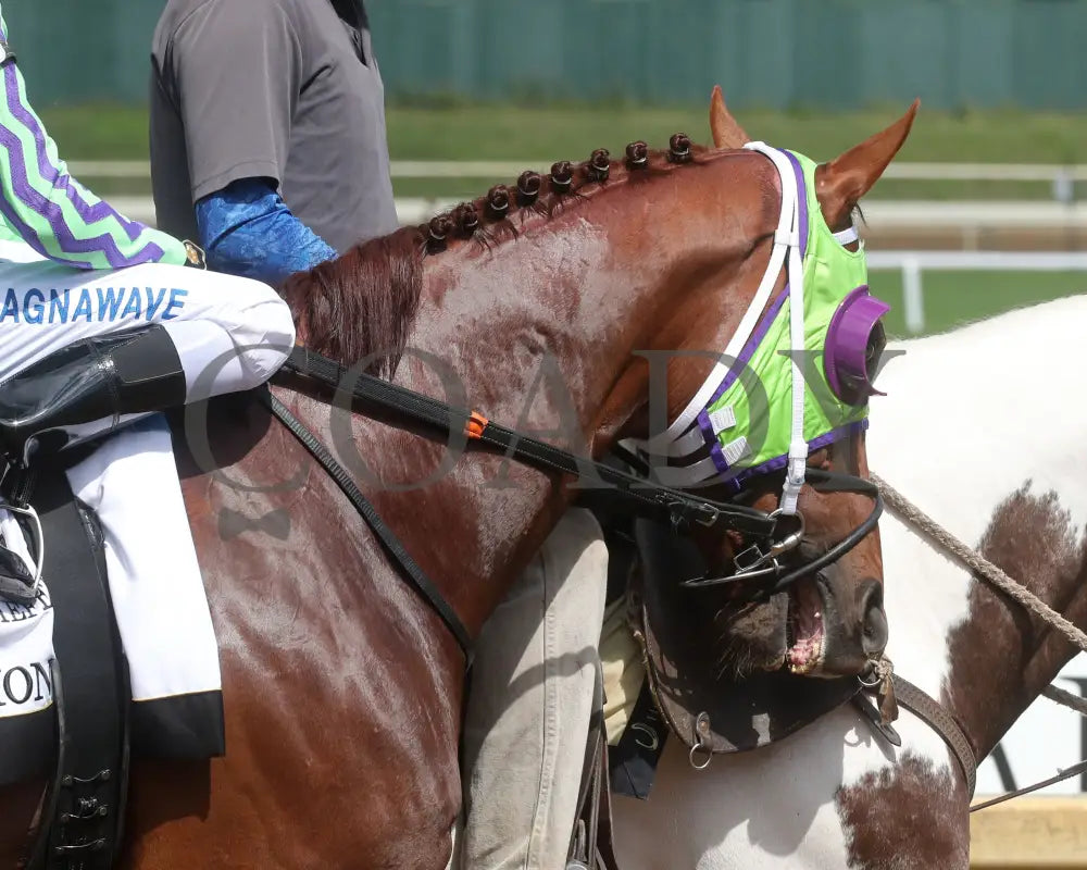 Injunction - Michael G. Schaefer Memorial 24Th Running 07-06-24 R08 Ind Post Parade 03 Indiana Grand
