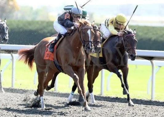 Inny Minnie - 4 100811 Race 02 Keeneland