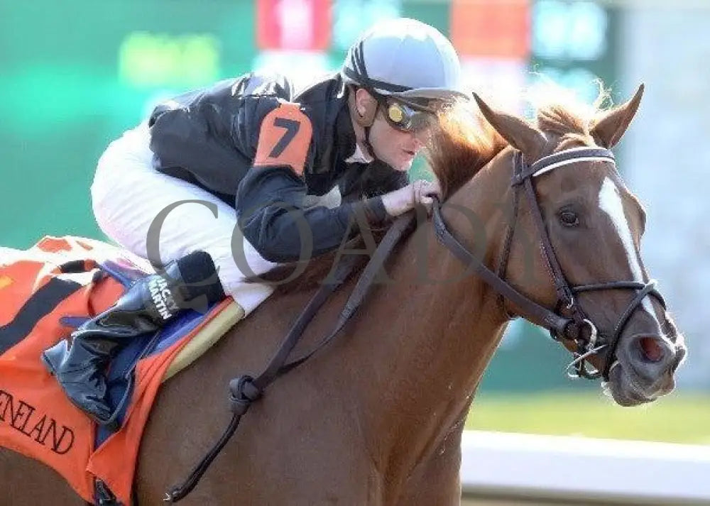 Inny Minnie - 5 100811 Race 02 Keeneland