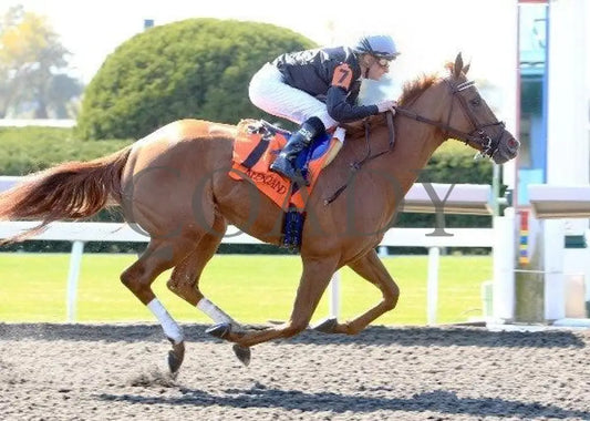Inny Minnie - 6 100811 Race 02 Keeneland