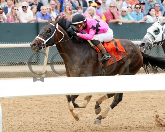 INSTANT REPLAY - The Bathhouse Row Stakes - 04-19-25 - R06 - OP - Inside Finish 02 Oaklawn Park