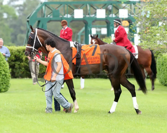 INSTANT REPLAY - The Bathhouse Row Stakes - 04-19-25 - R06 - OP - Paddock 01 Oaklawn Park