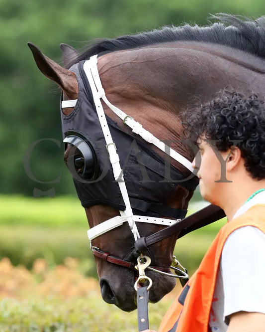 INSTANT REPLAY - The Bathhouse Row Stakes - 04-19-25 - R06 - OP - Paddock 02 Oaklawn Park