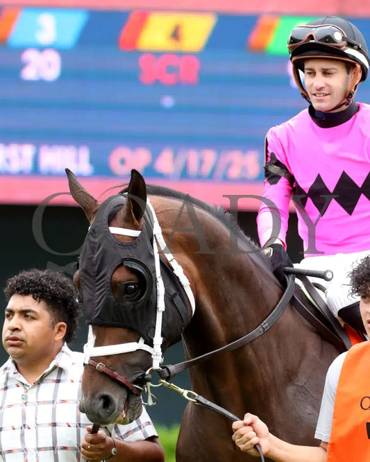 INSTANT REPLAY - The Bathhouse Row Stakes - 04-19-25 - R06 - OP - Paddock 03 Oaklawn Park