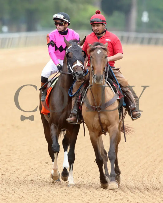 INSTANT REPLAY - The Bathhouse Row Stakes - 04-19-25 - R06 - OP - Post Parade 01 Oaklawn Park