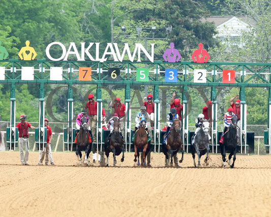INSTANT REPLAY - The Bathhouse Row Stakes - 04-19-25 - R06 - OP - Start 01 Oaklawn Park