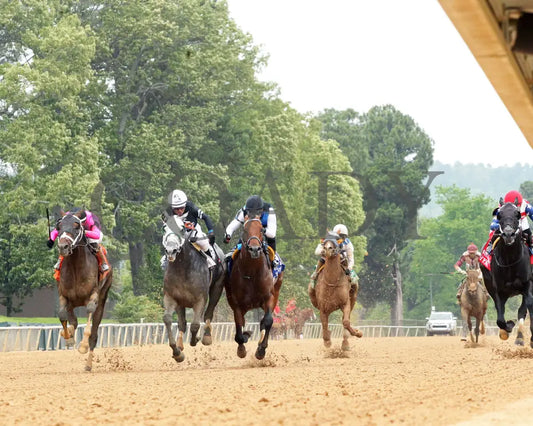INSTANT REPLAY - The Bathhouse Row Stakes - 04-19-25 - R06 - OP - Under Rail 01 Oaklawn Park