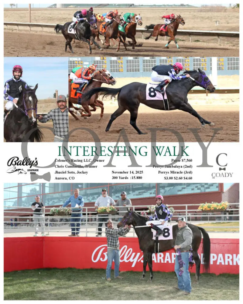INTERESTING WALK - 11-14-25 - R03 - ARP - Coady Media - Kurtis Coady Photography