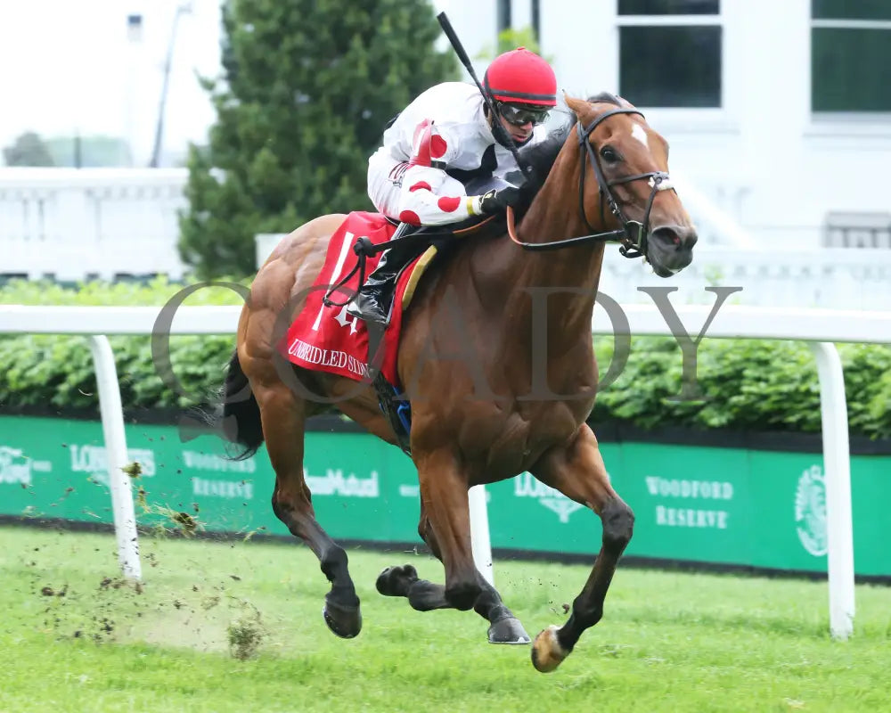 Into Mystic - The Unbridled Sidney 11Th Running 04-29-21 R10 Cd Finish 02 Churchill Downs