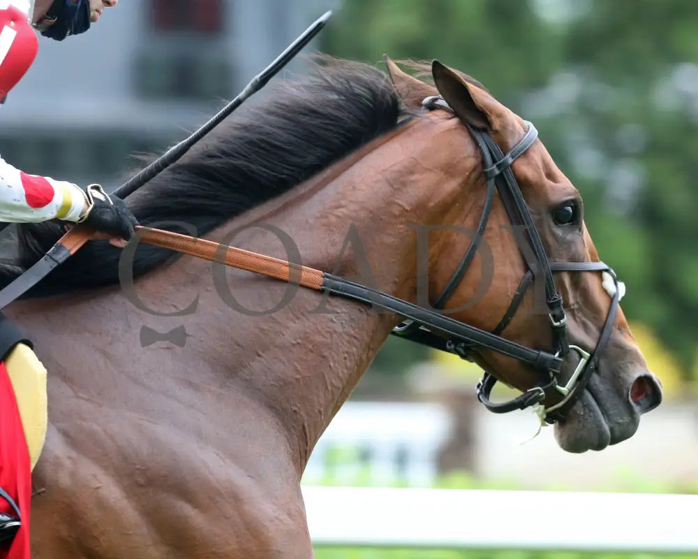 Into Mystic - The Unbridled Sidney 11Th Running 04-29-21 R10 Cd Tight Finish 02 Churchill Downs