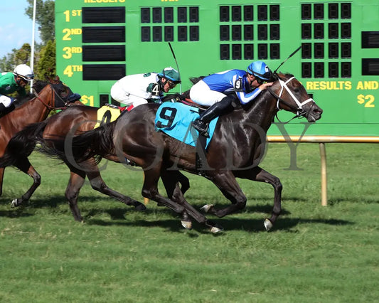 Inveniam Viam - 070817 Race 08 Elp Finish Ellis Park