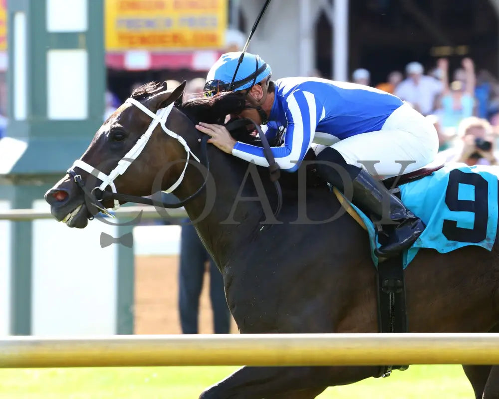 Inveniam Viam - 070817 Race 08 Elp Inside Finish Ellis Park