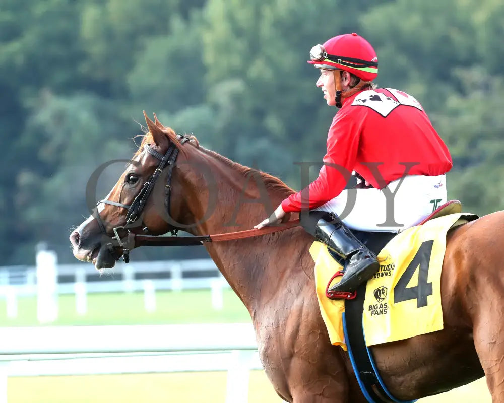 Irish Aces - The Big Ass Fans Tapit Stakes 08-29-24 R10 Kd Come Back 02 Kentucky Downs