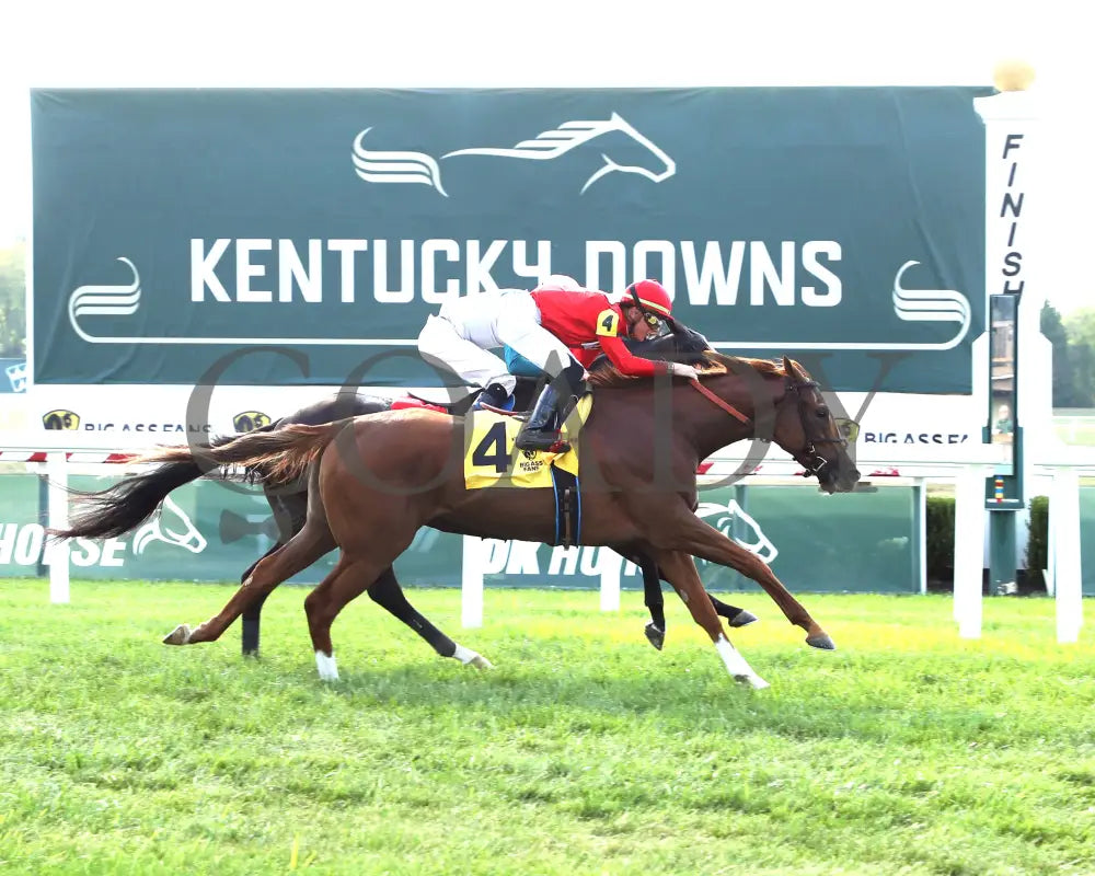 Irish Aces - The Big Ass Fans Tapit Stakes 08-29-24 R10 Kd Finish 01 Kentucky Downs