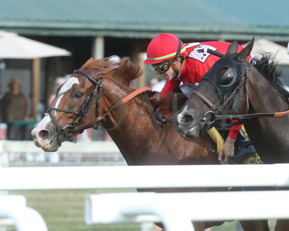 Irish Aces - The Big Ass Fans Tapit Stakes 08-29-24 R10 Kd Inside Finish 01 Kentucky Downs