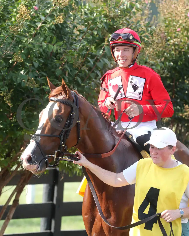 Irish Aces - The Big Ass Fans Tapit Stakes 08-29-24 R10 Kd Paddock 01 Kentucky Downs