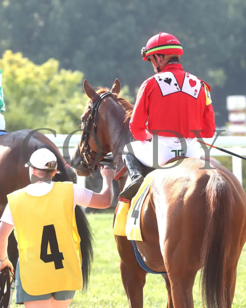 Irish Aces - The Big Ass Fans Tapit Stakes 08-29-24 R10 Kd Paddock 02 Kentucky Downs