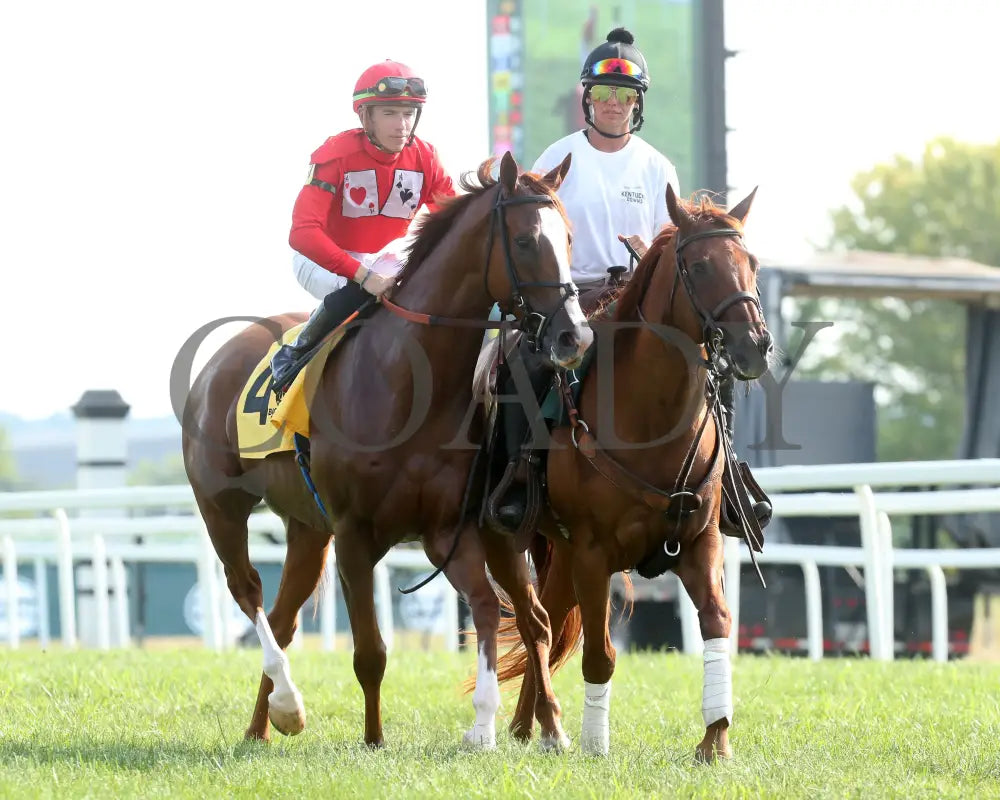IRISH ACES - The Big Ass Fans Tapit Stakes - 08-29-24 - R10 - KD - Post Parade 02 - Coady Media - Kurtis Coady Photography