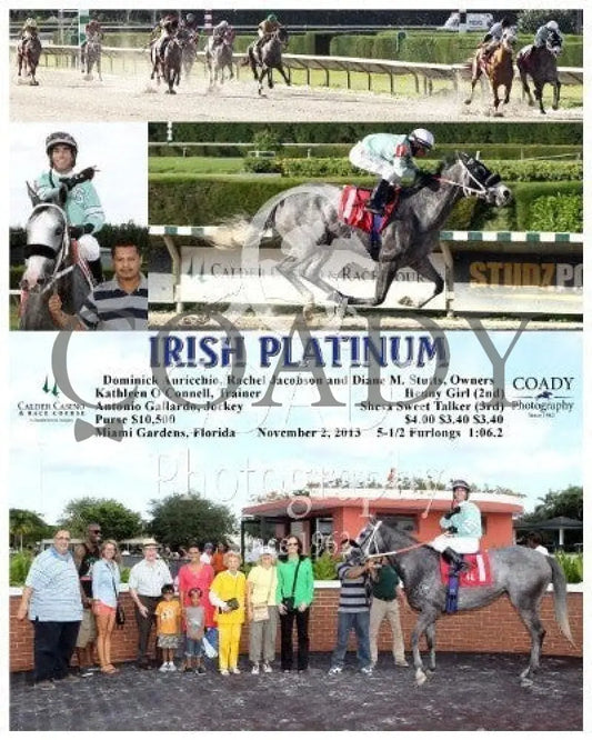 Irish Platinum - 110213 Race 09 Crc Calder Course