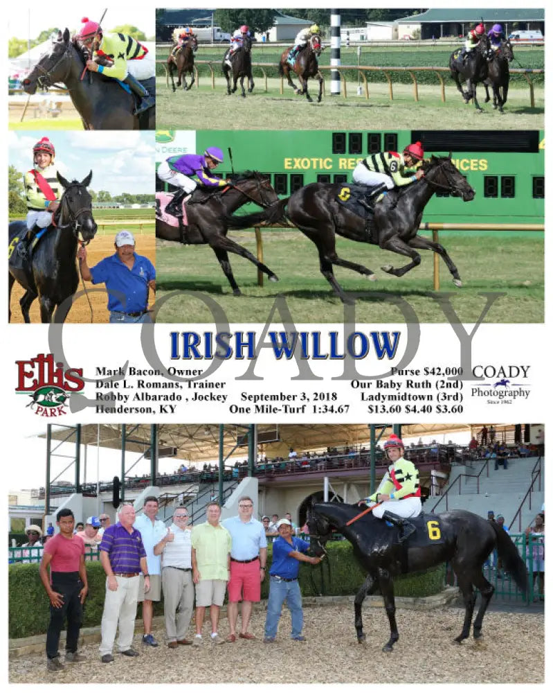 Irish Willow - 090318 Race 08 Elp Ellis Park