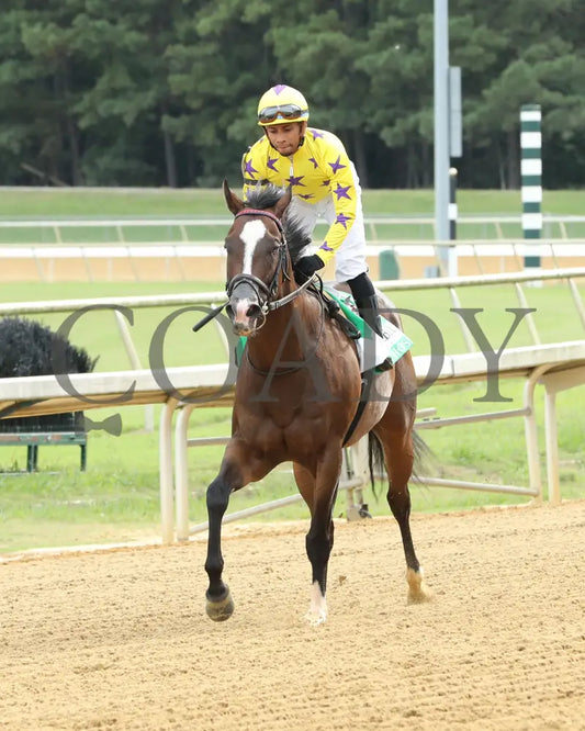Isivunguvungu - The Korbel Da Hoss Stakes 09-07-24 R08 Cnl Come Back Colonial Downs