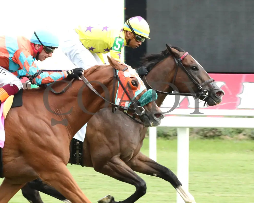Isivunguvungu - The Korbel Da Hoss Stakes 09-07-24 R08 Cnl Finish 02 Colonial Downs