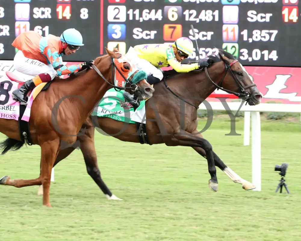 Isivunguvungu - The Korbel Da Hoss Stakes 09-07-24 R08 Cnl Finish 03 Colonial Downs