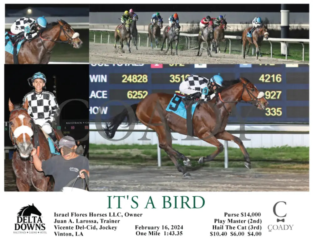 It’s A Bird - 02-16-24 R03 Ded Delta Downs